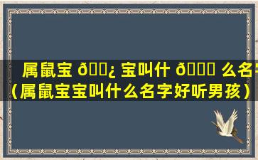 属鼠宝 🌿 宝叫什 🐞 么名字（属鼠宝宝叫什么名字好听男孩）